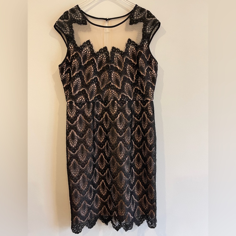 Cleo petites illusion lace dress. Sz 12